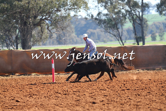 IllaboCampdraft2014_1101
