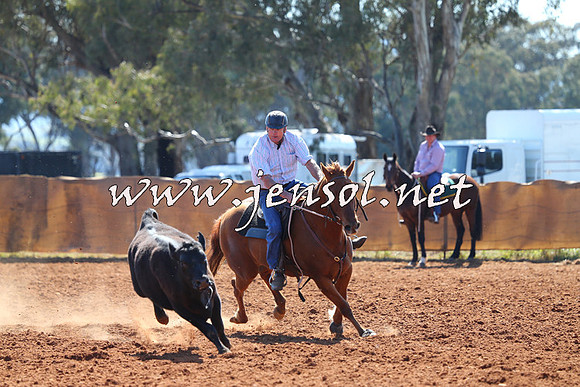 IllaboCampdraft2014_1178