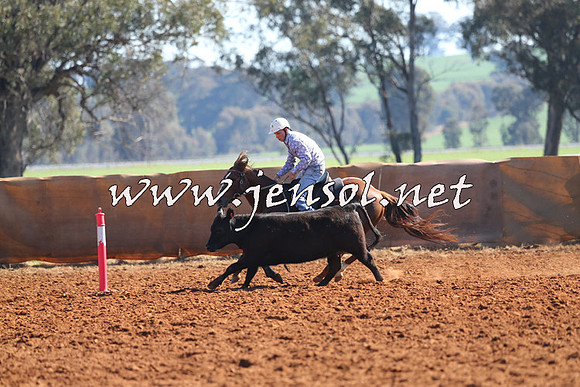 IllaboCampdraft2014_1100