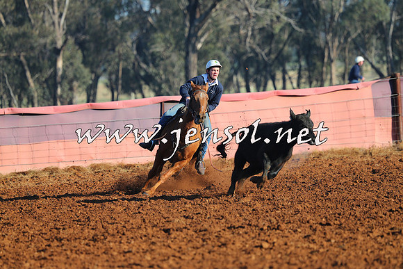 IllaboCampdraft2014_1018