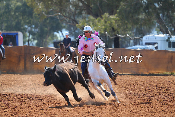 IllaboCampdraft2014_1195