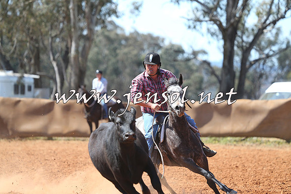 IllaboCampdraft2014_1219