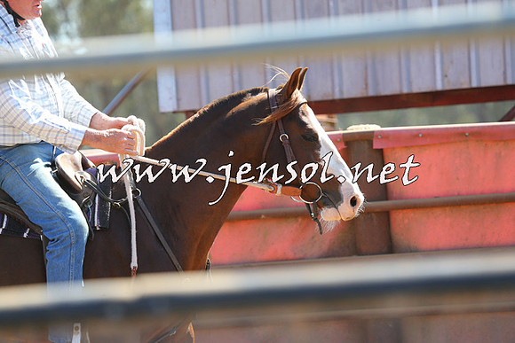 IllaboCampdraft2014_1237