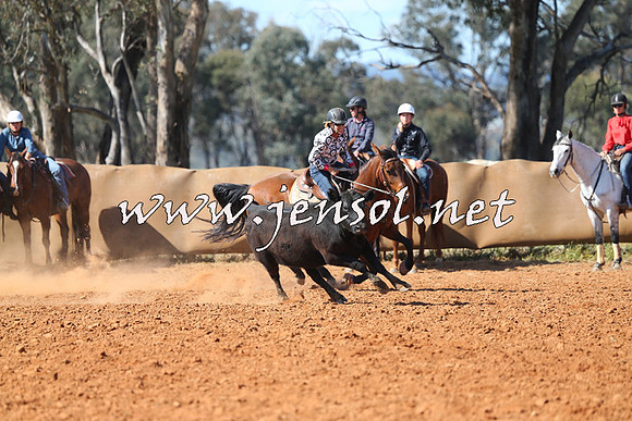 IllaboCampdraft2014_1274