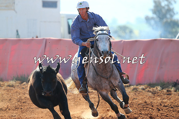 IllaboCampdraft2014_1121