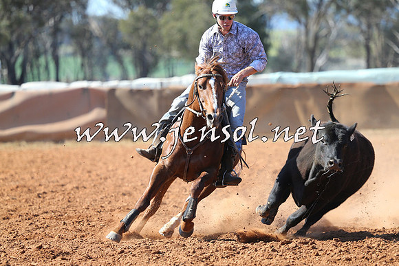 IllaboCampdraft2014_1268