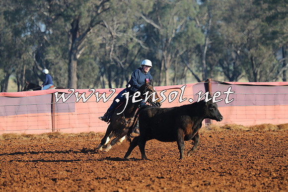 IllaboCampdraft2014_1013