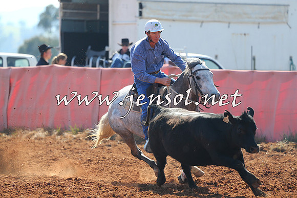IllaboCampdraft2014_1118