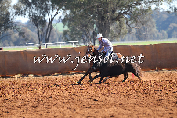 IllaboCampdraft2014_1105
