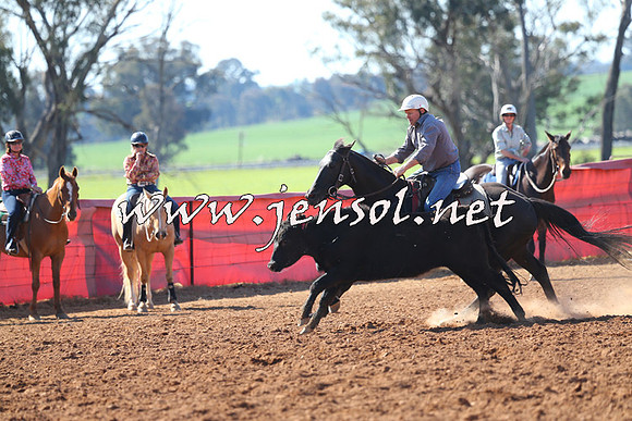 IllaboCampdraft2014_1292