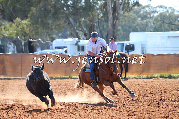 IllaboCampdraft2014_1180