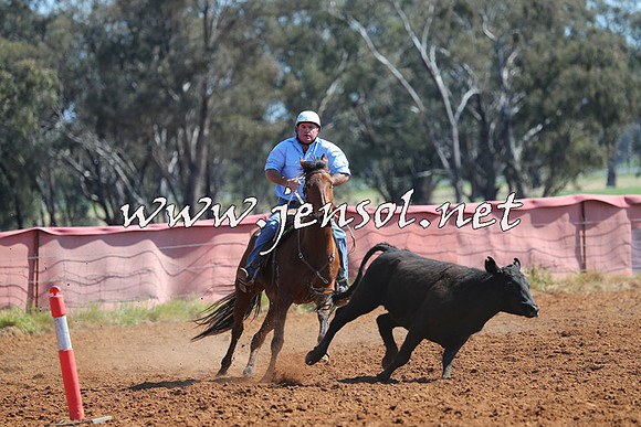 IllaboCampdraft2014_1173
