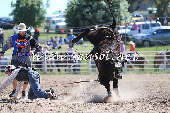 BungendoreRodeo2014_0599