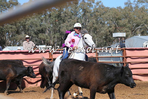 IllaboCampdraft2014_1185