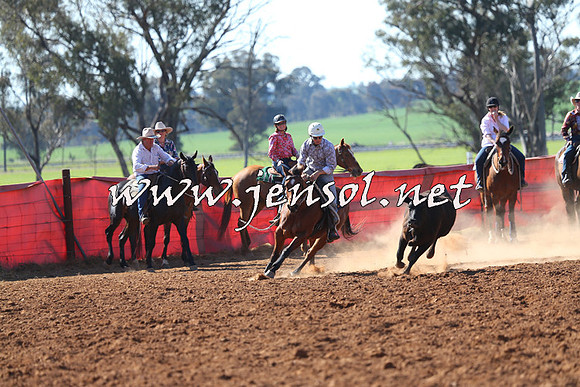 IllaboCampdraft2014_1312