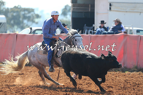 IllaboCampdraft2014_1115