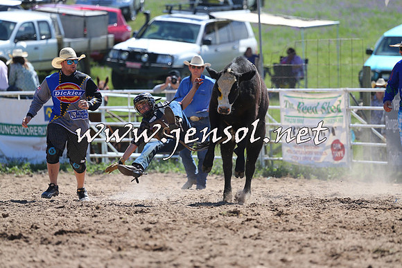BungendoreRodeo2014_0542