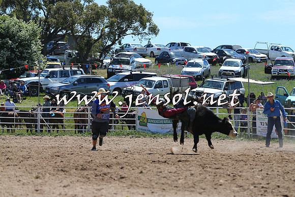 BungendoreRodeo2014_0752
