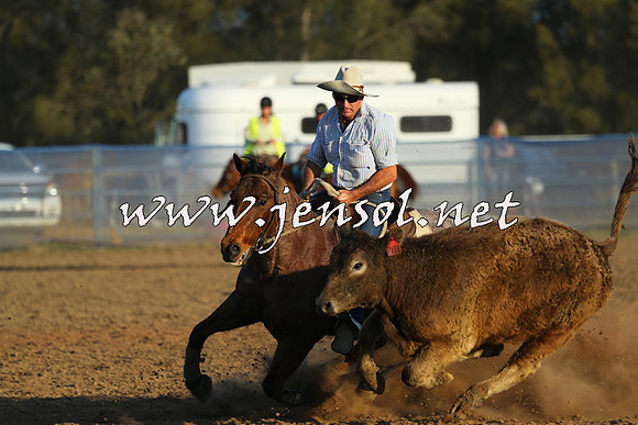 CountyofCumberland2015_2577