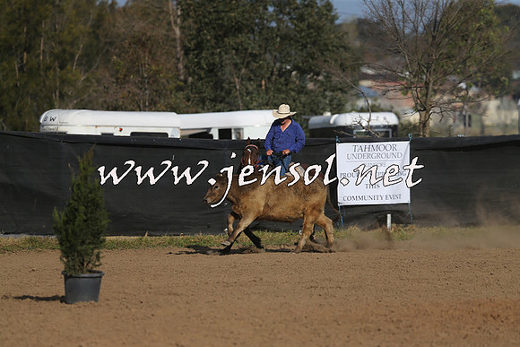 CountyofCumberland2015_2176