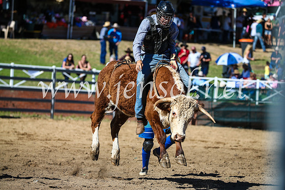 CoomaRodeo2017_2570