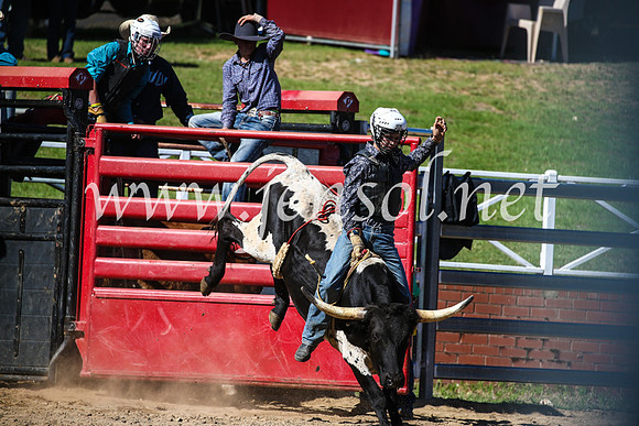 CoomaRodeo2017_2481