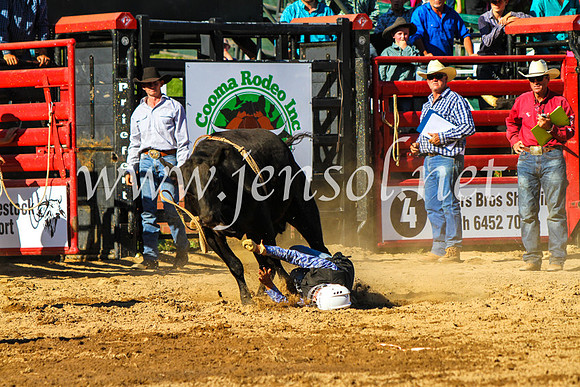 CoomaRodeo2017_9200