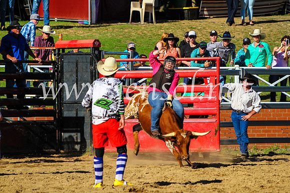 CoomaRodeo2017_9175