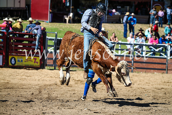 CoomaRodeo2017_2573