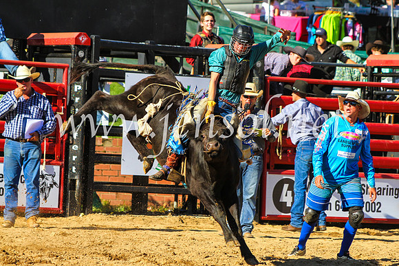 CoomaRodeo2017_9184