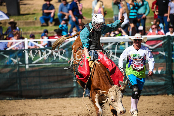 CoomaRodeo2017_2491