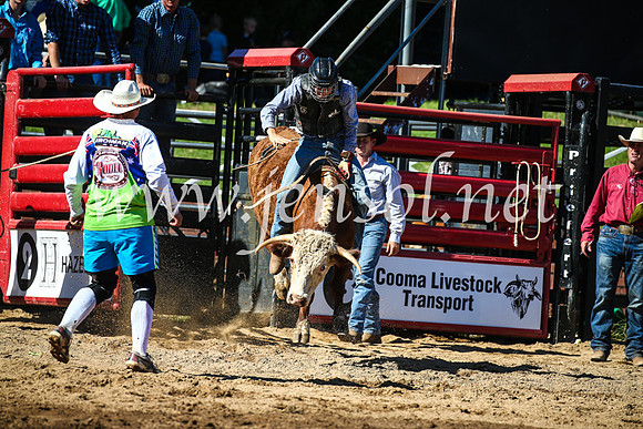 CoomaRodeo2017_2535