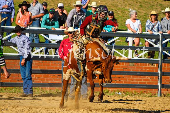 CoomaRodeo2017_9201