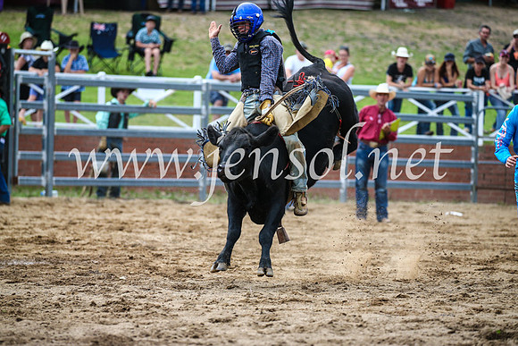 CoomaRodeo2017_1031
