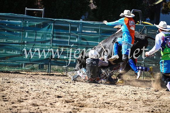 CoomaRodeo2017_2454