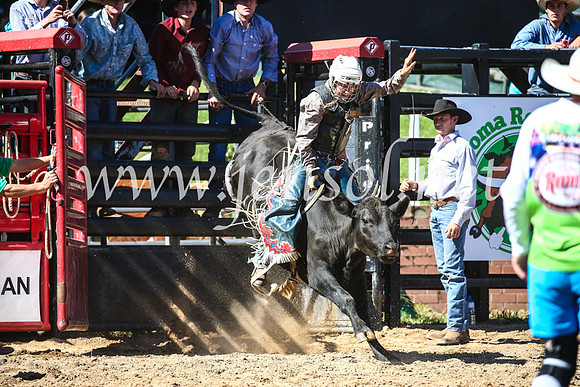 CoomaRodeo2017_2446