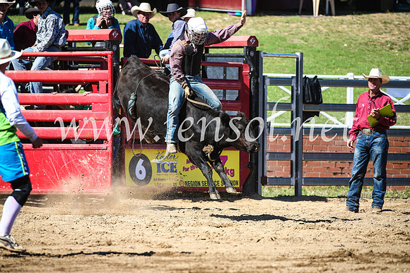CoomaRodeo2017_2469