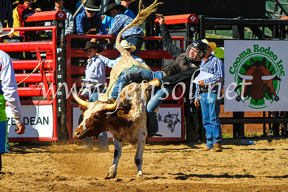 CoomaRodeo2017_9023
