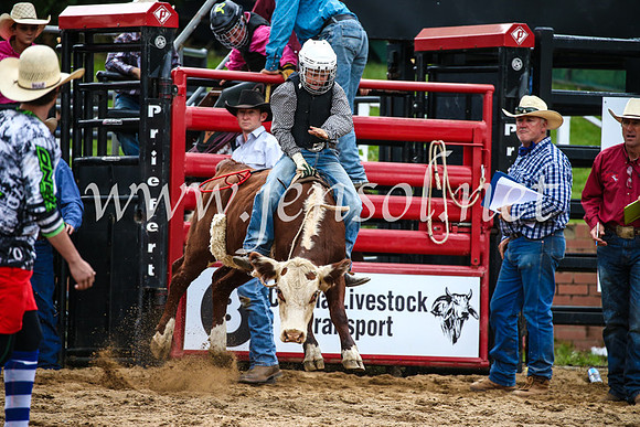 CoomaRodeo2017_1433