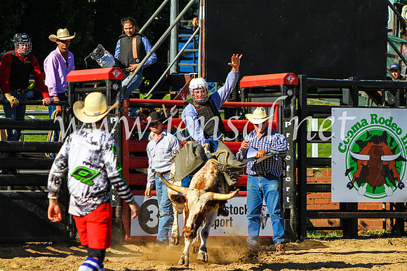 CoomaRodeo2017_9149