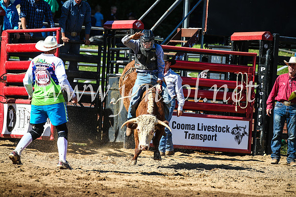 CoomaRodeo2017_2546