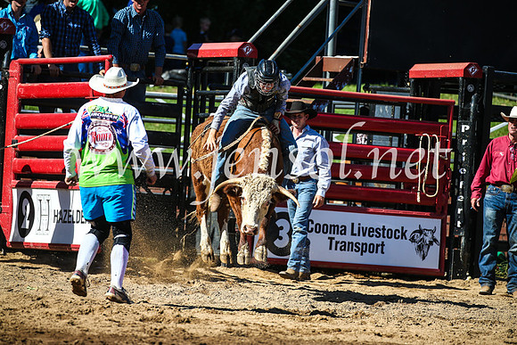 CoomaRodeo2017_2536