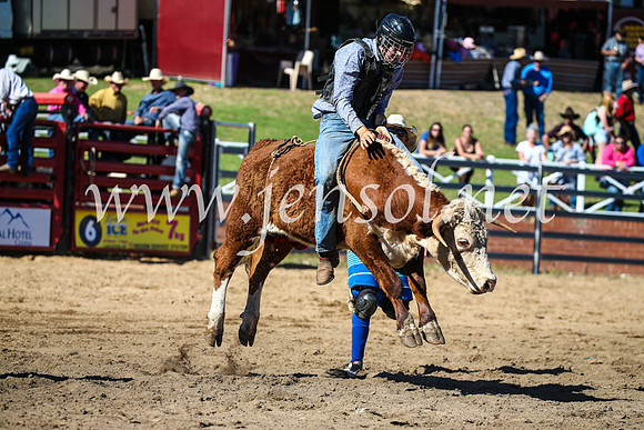 CoomaRodeo2017_2561