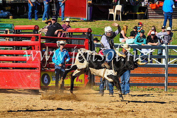 CoomaRodeo2017_9213