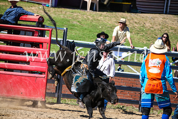 CoomaRodeo2017_2579