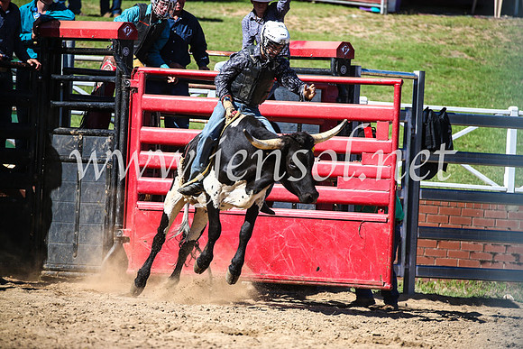CoomaRodeo2017_2475