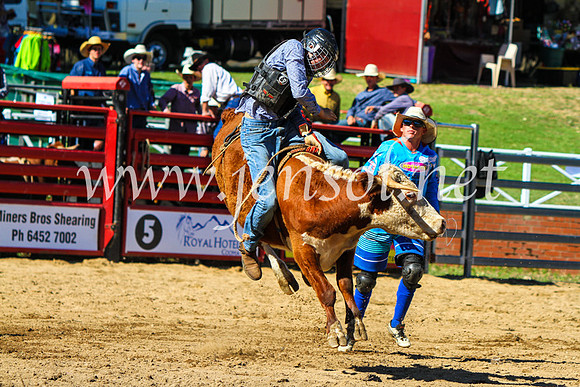 CoomaRodeo2017_9040