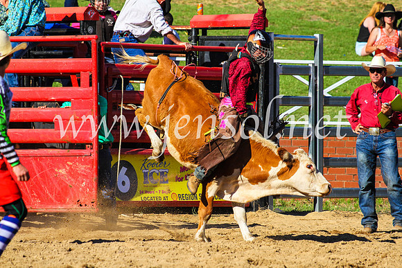 CoomaRodeo2017_9157