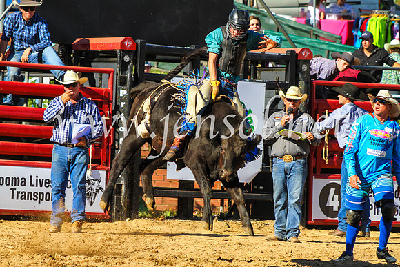 CoomaRodeo2017_9178