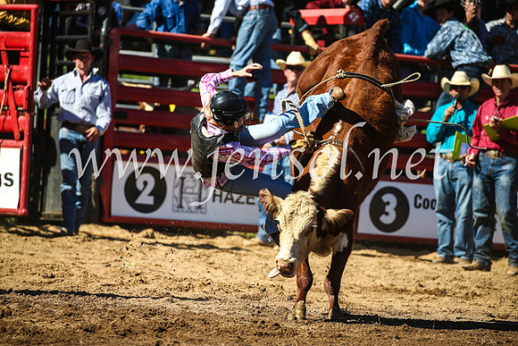 CoomaRodeo2017_2514